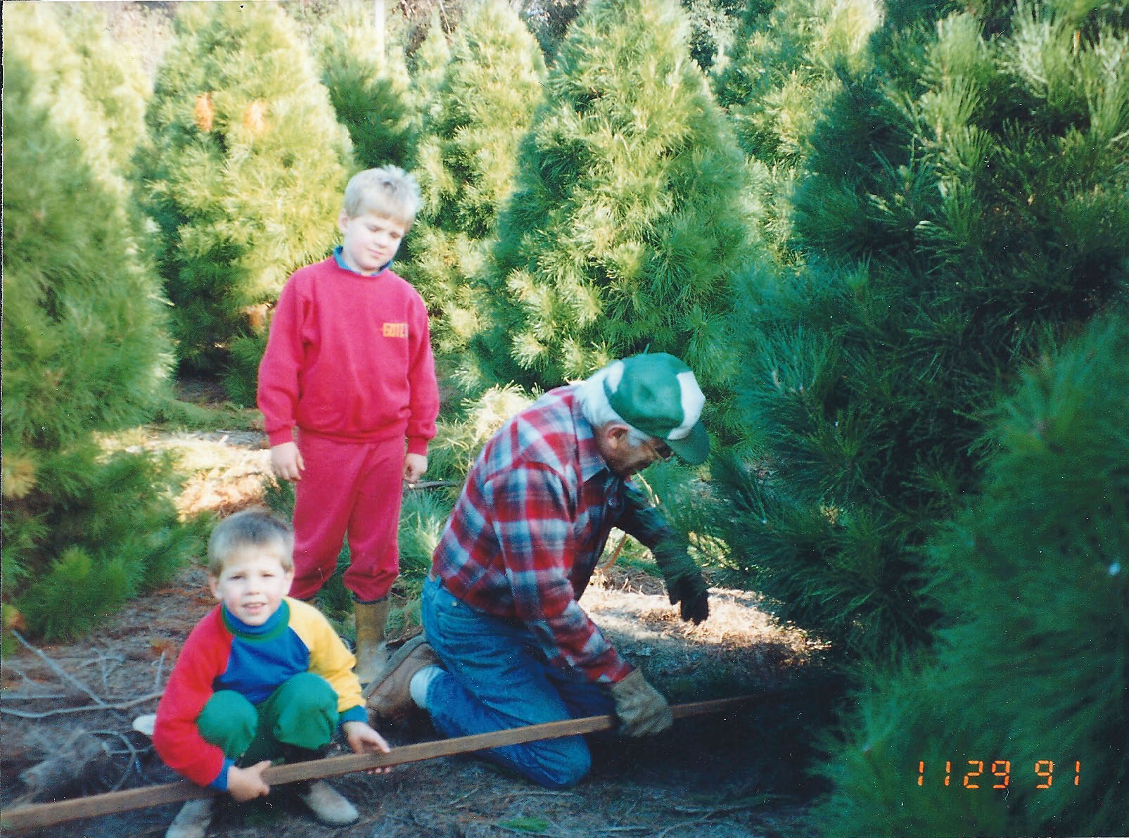 Historical photo from 1969 - Beginning of Christmas tree farming
