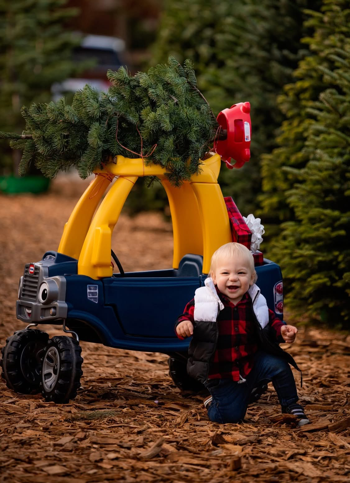 Christmas Tree Farm Photo 1