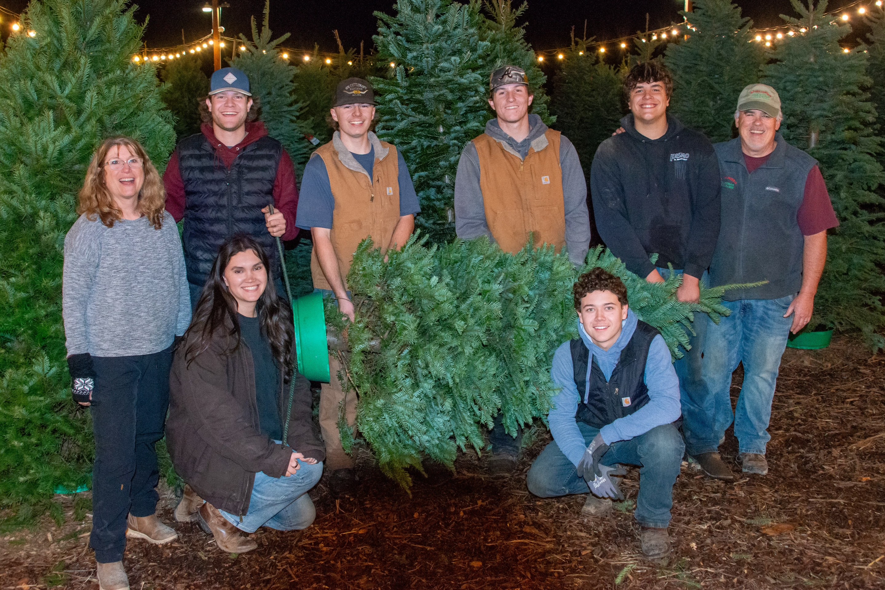 Christmas Tree Farm Photo 13