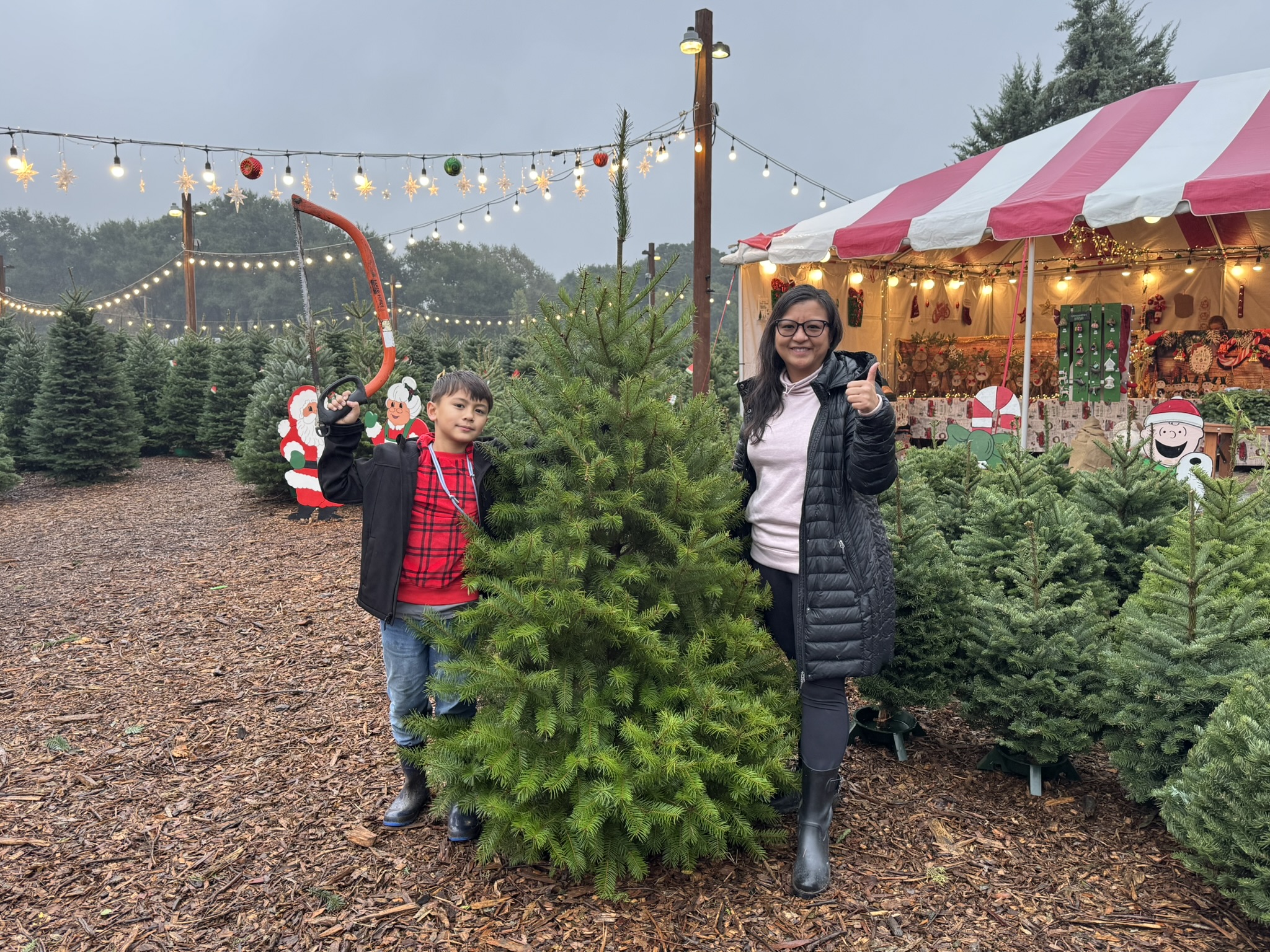 Christmas Tree Farm Photo 15