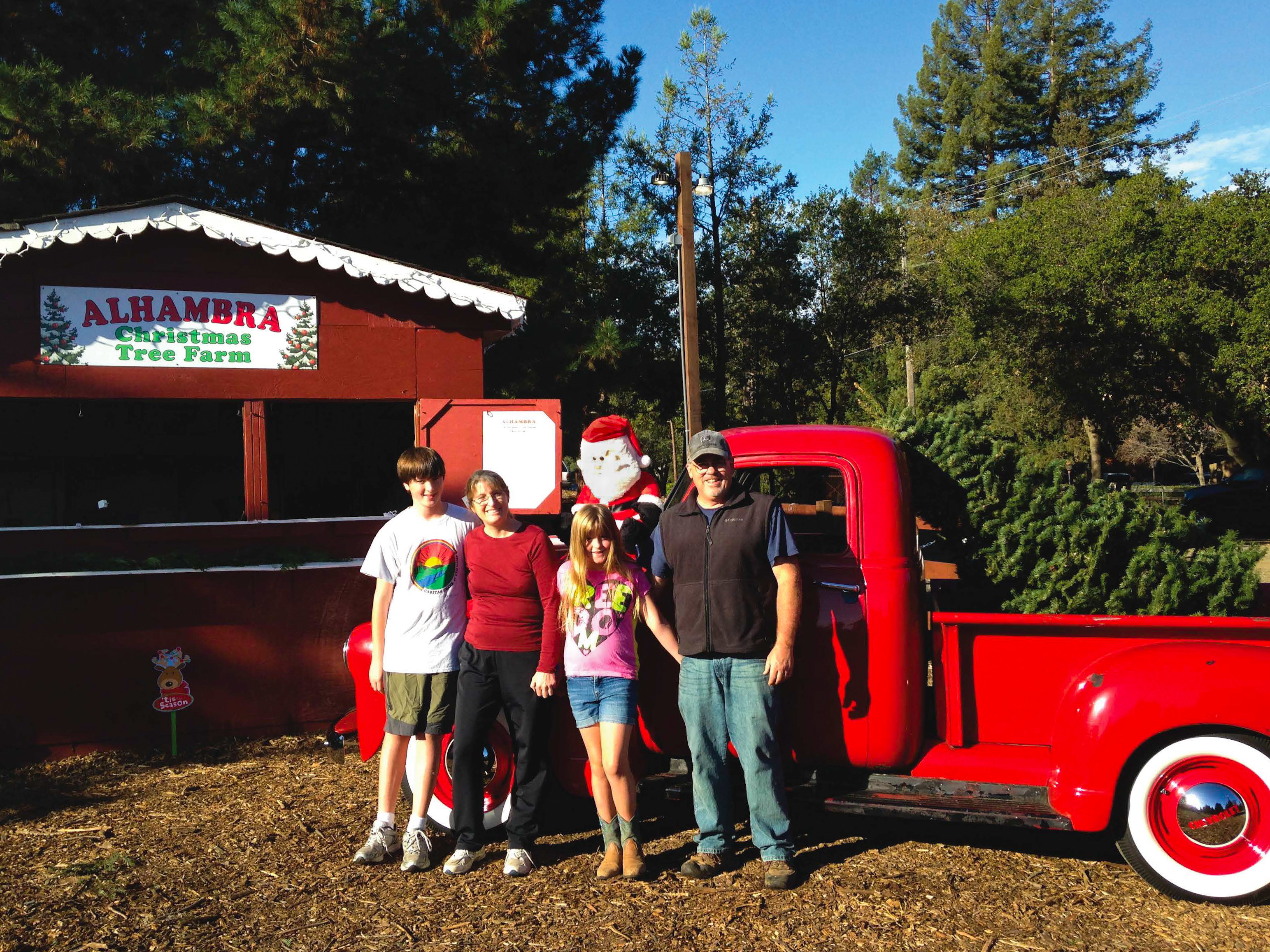 Christmas Tree Farm Photo 20