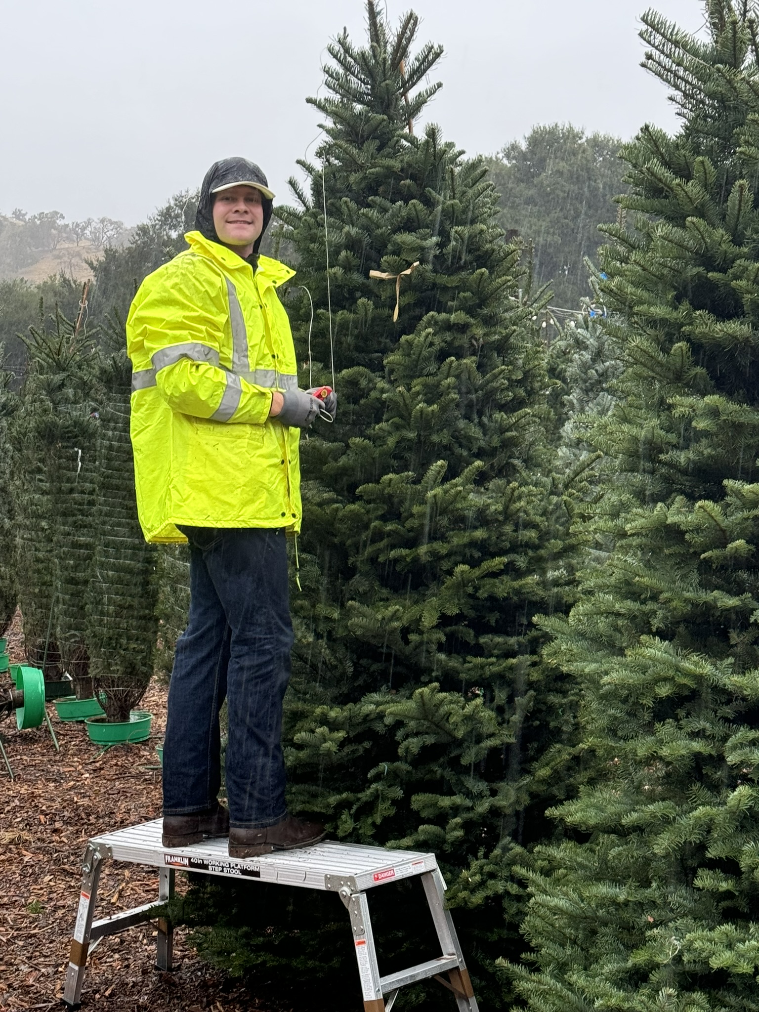 Christmas Tree Farm Photo 21