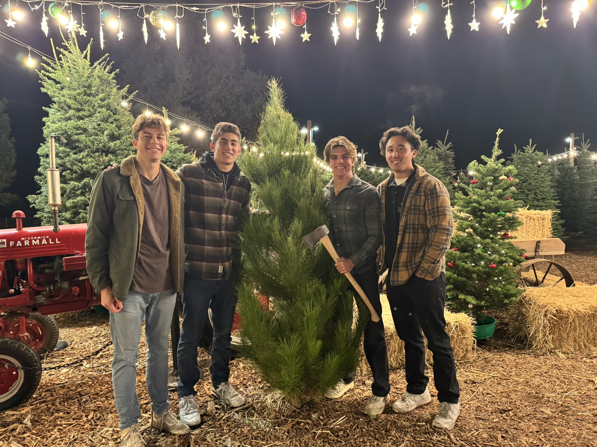 Christmas Tree Farm Photo 24