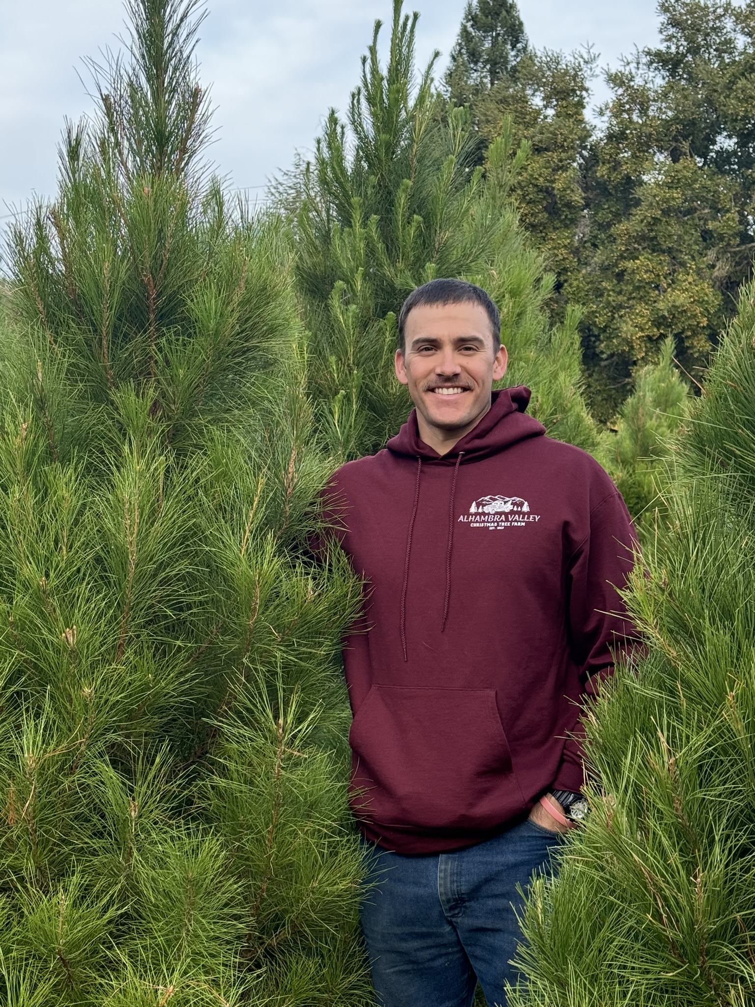 Christmas Tree Farm Photo 27