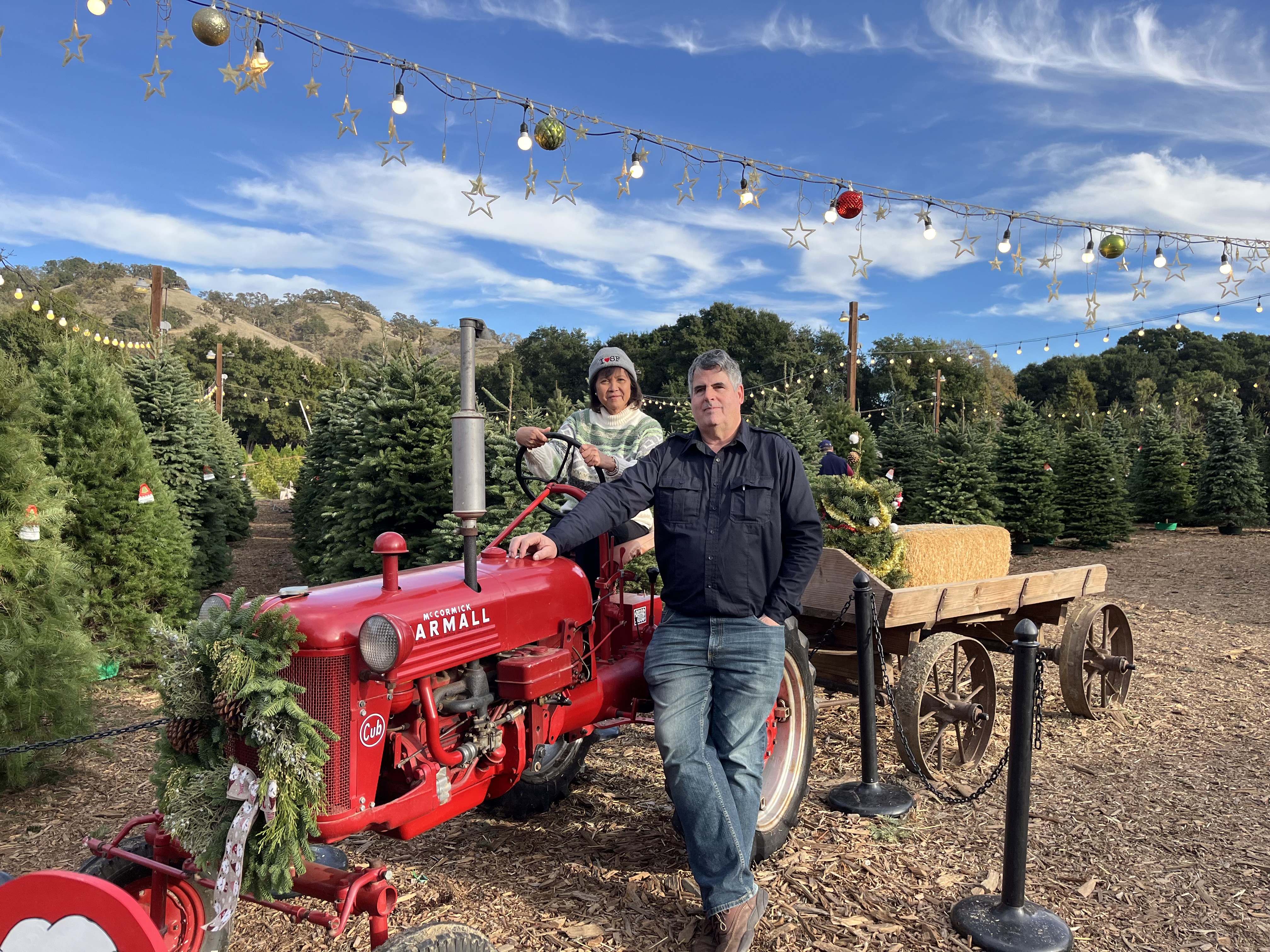 Christmas Tree Farm Photo 30