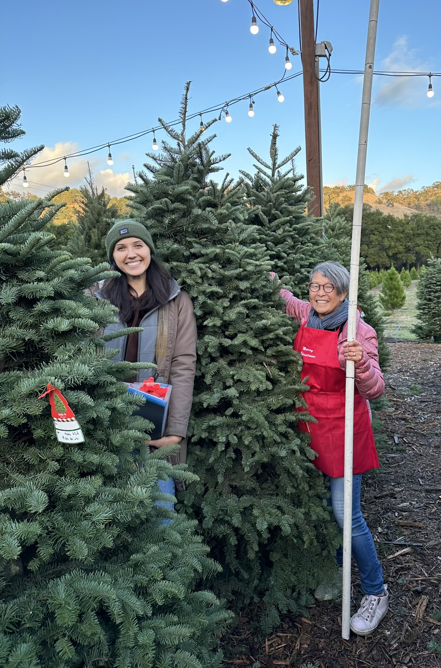 Christmas Tree Farm Photo 31