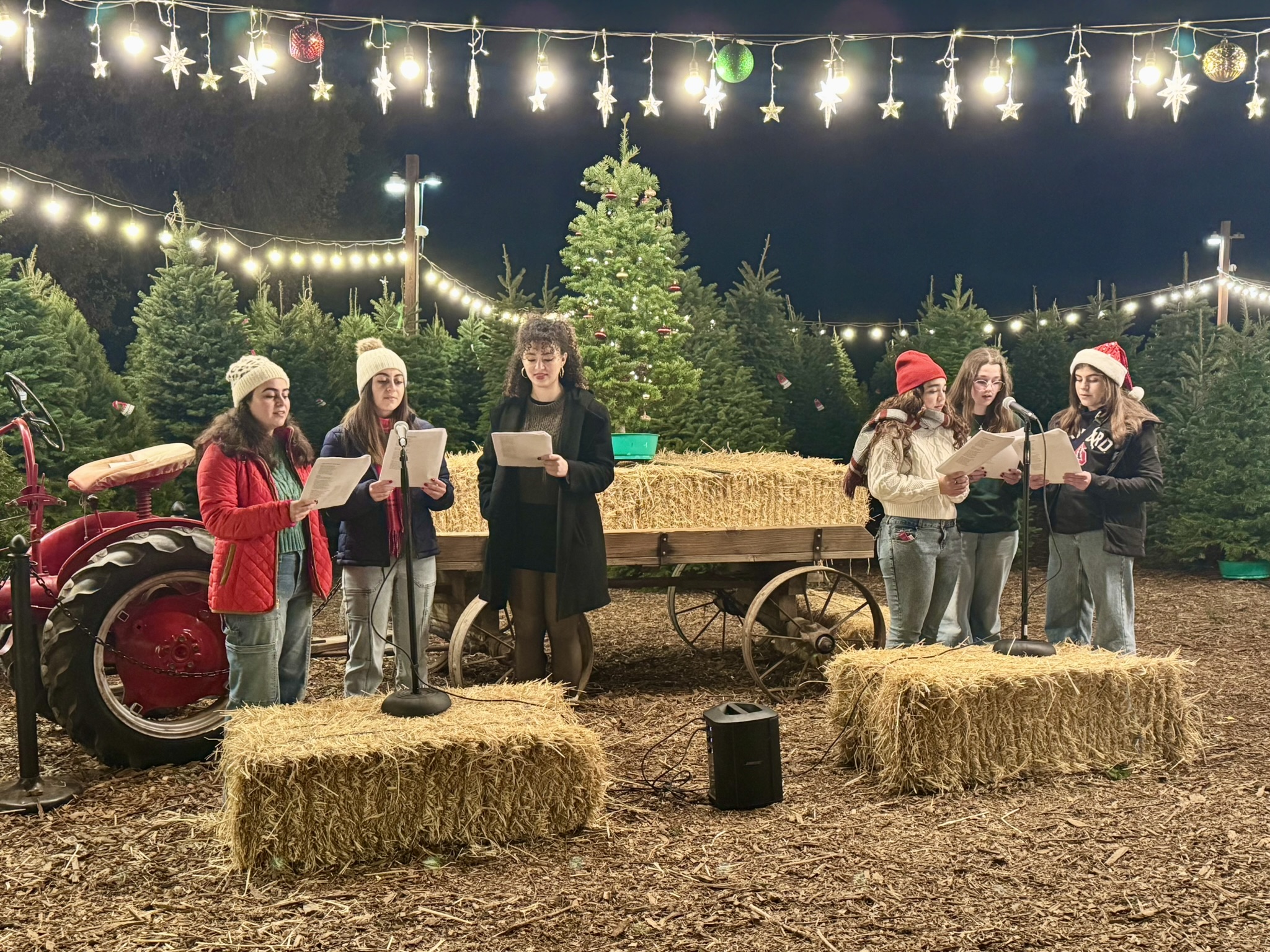 Christmas Tree Farm Photo 33