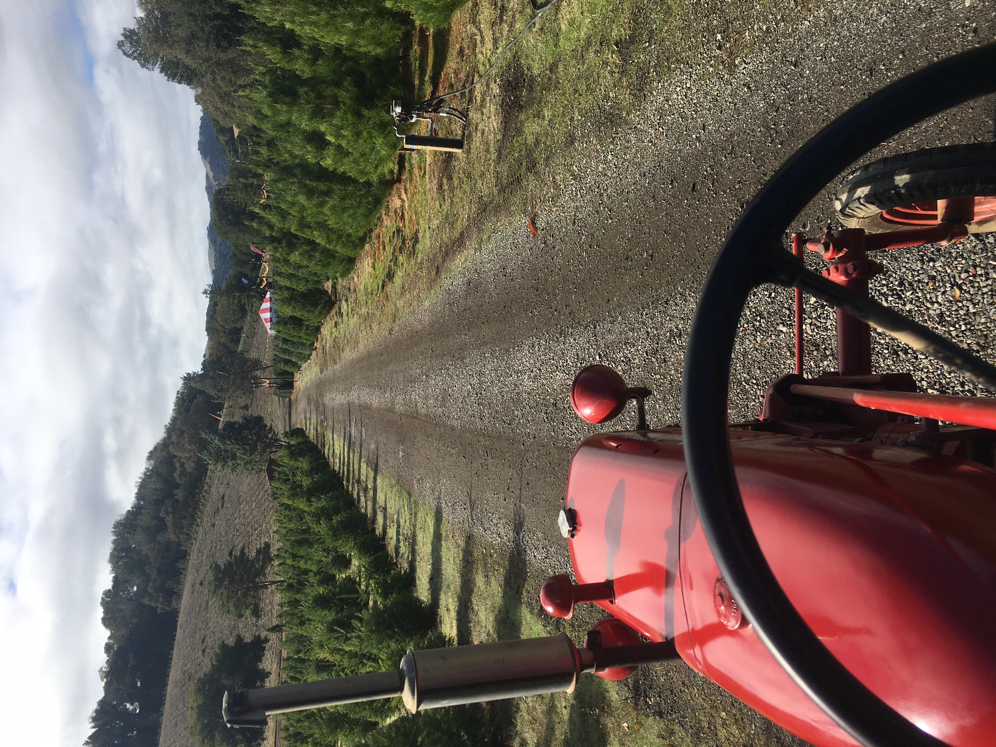 Christmas Tree Farm Photo 34
