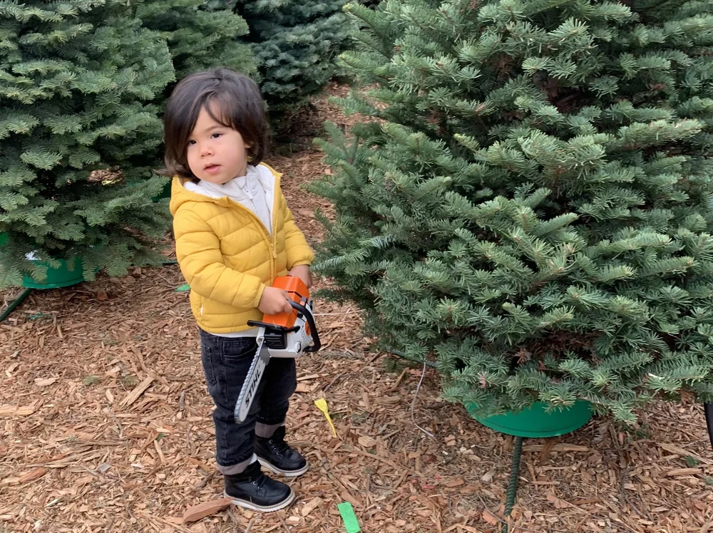 Christmas Tree Farm Photo 36