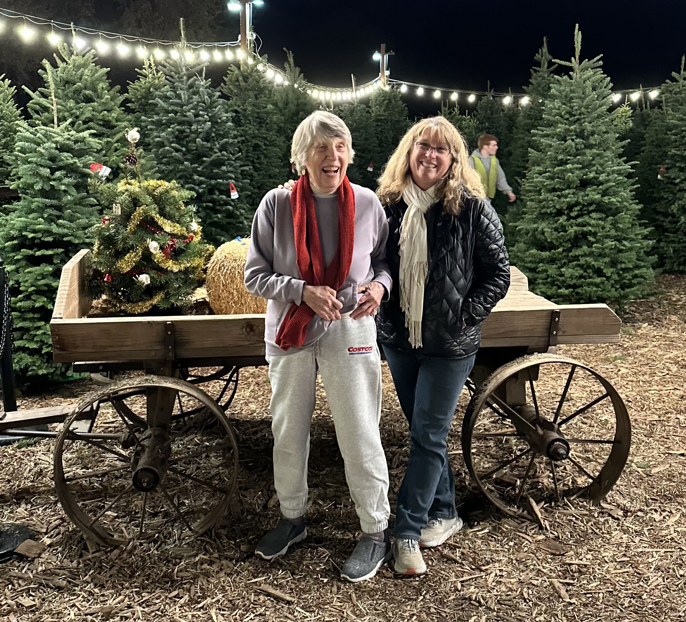 Christmas Tree Farm Photo 4