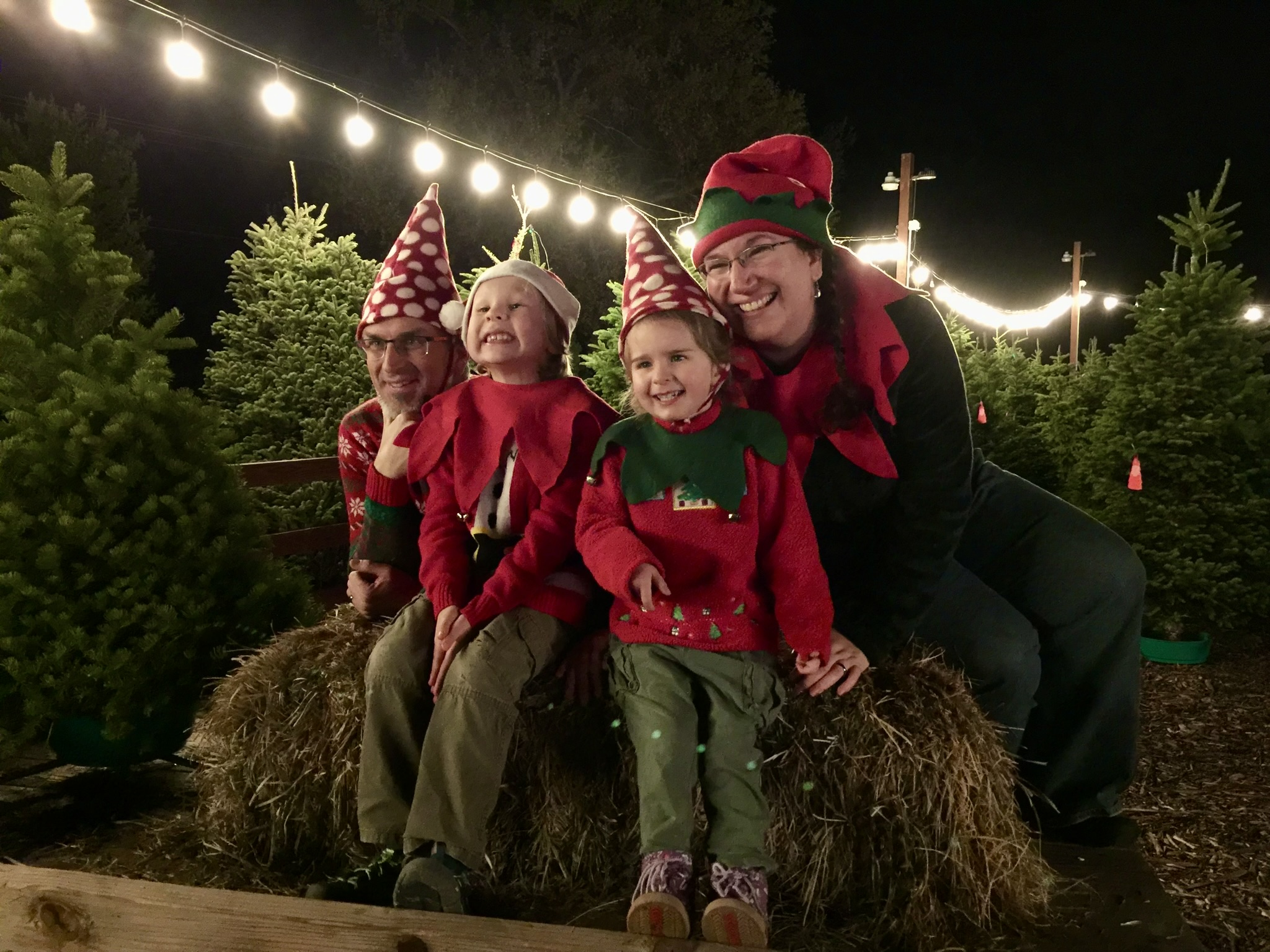 Christmas Tree Farm Photo 41