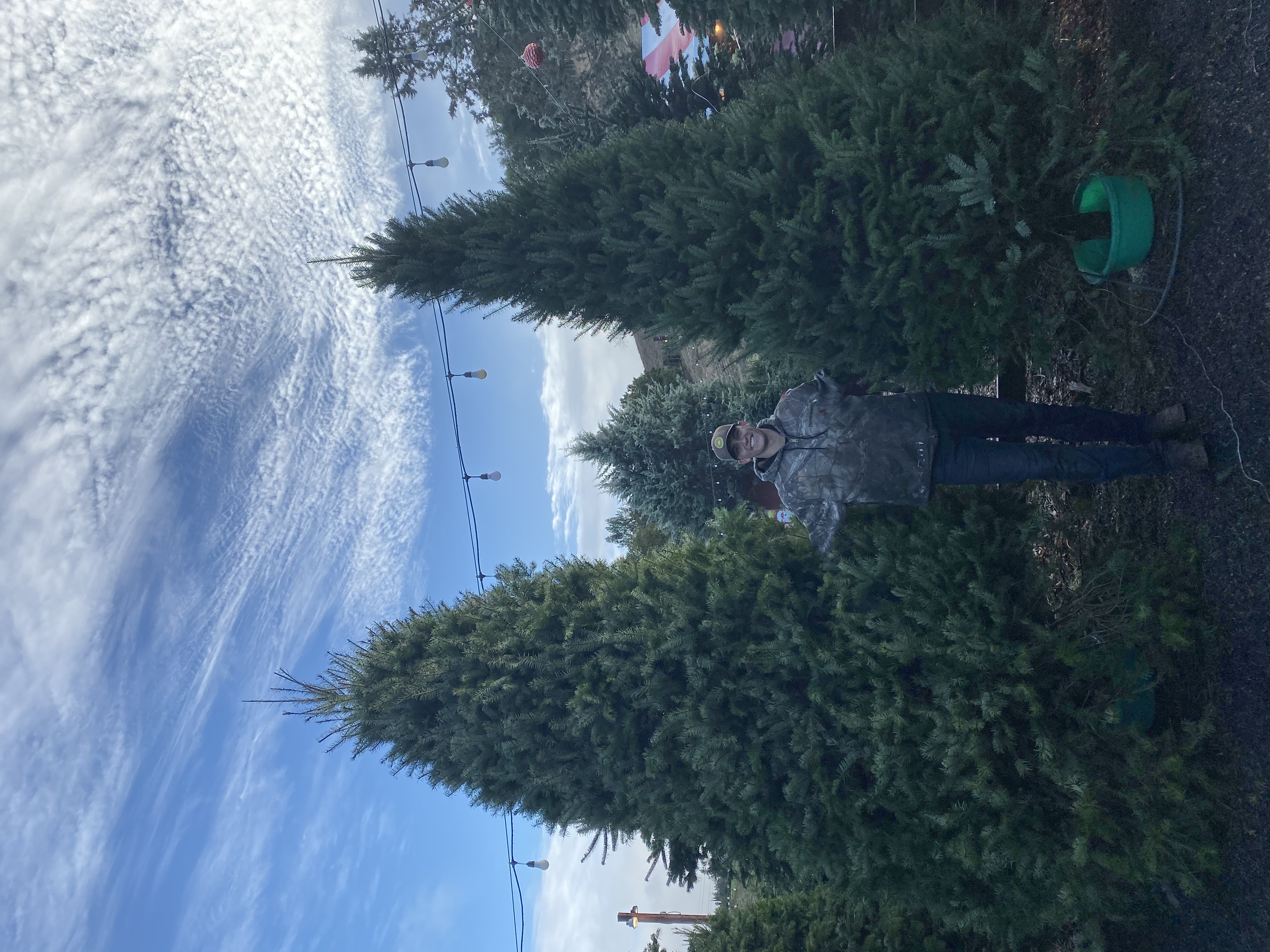 Christmas Tree Farm Photo 43