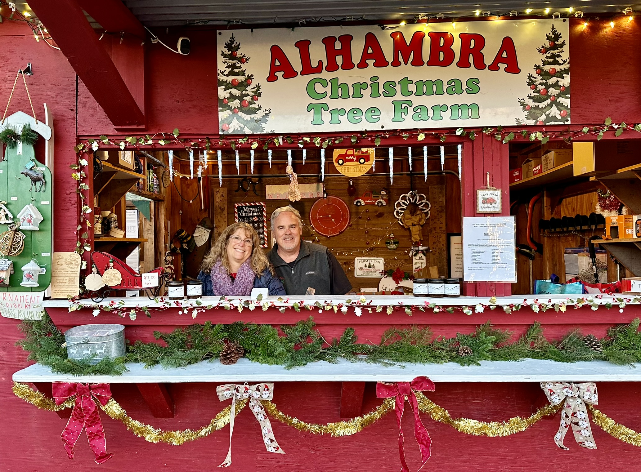Christmas Tree Farm Photo 6
