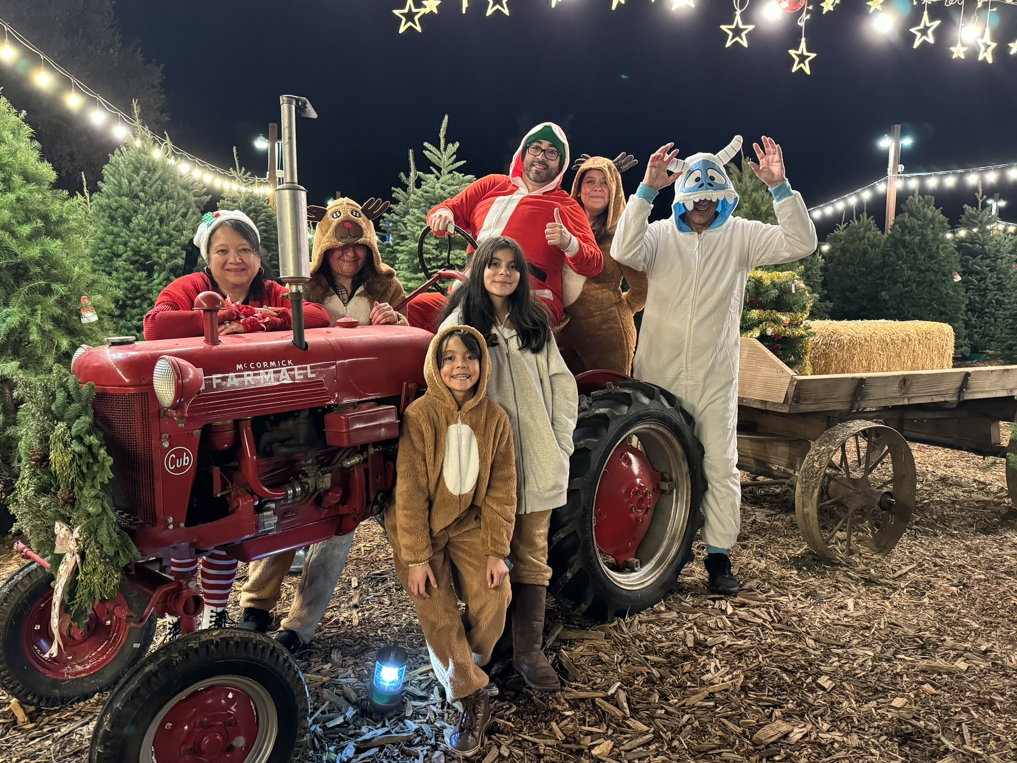 Christmas Tree Farm Photo 8